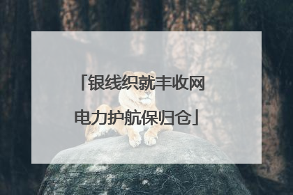 银线织就丰收网 电力护航保归仓